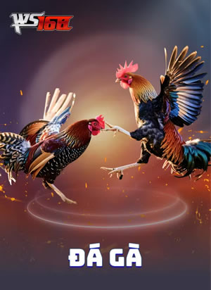 Tổ Tôm Rummy